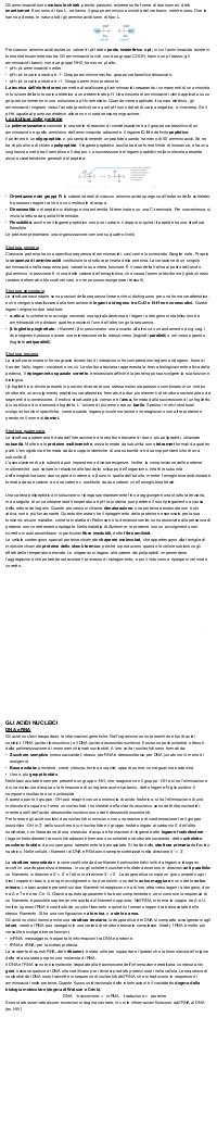 Preview documento per pagina 2