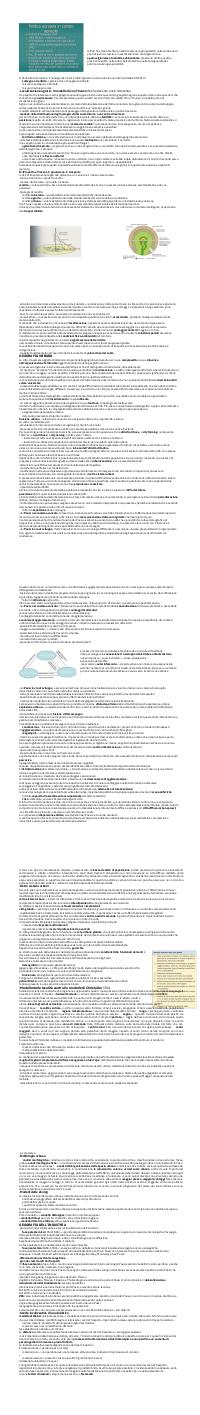 Preview documento per pagina 56