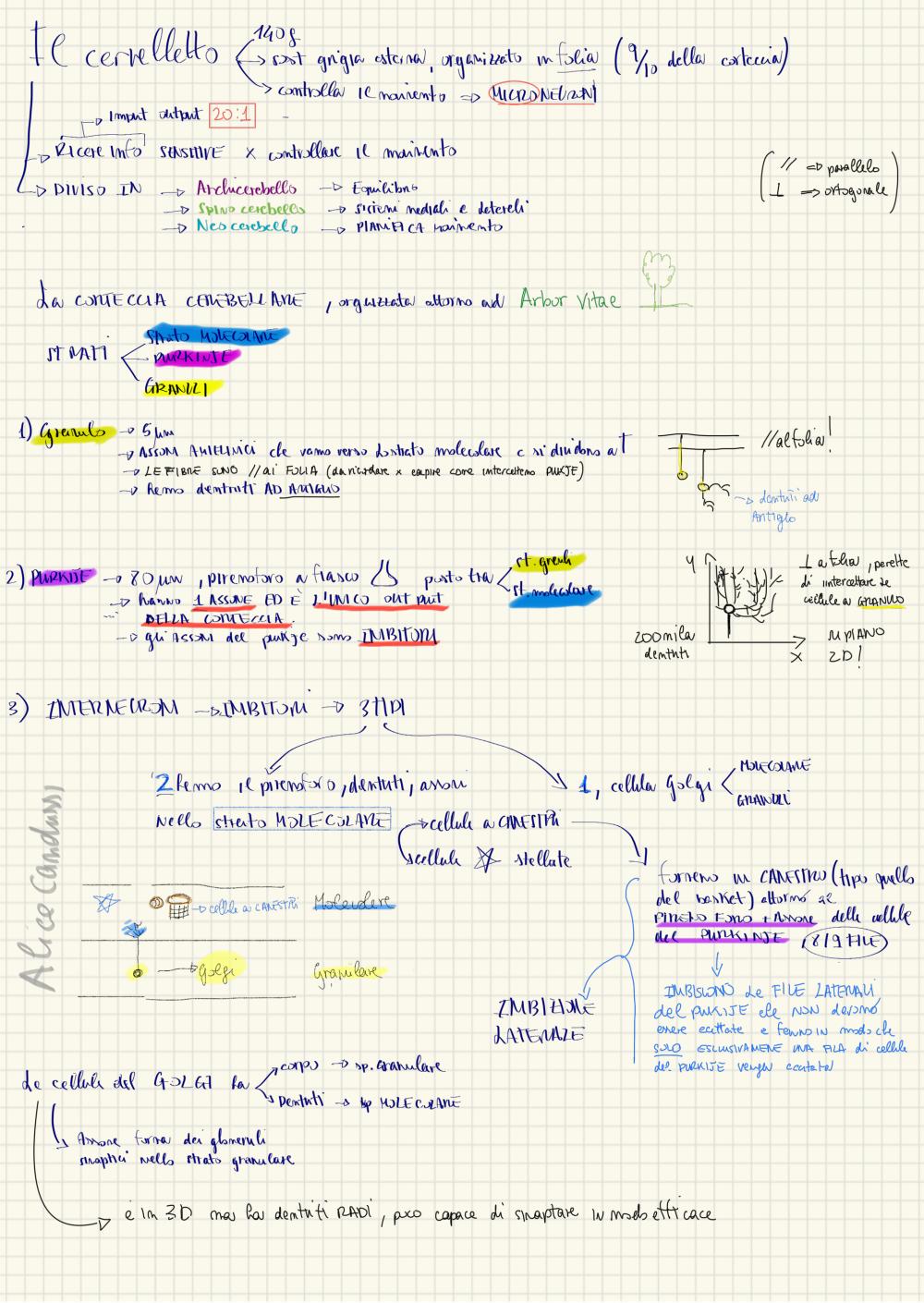 Preview documento per pagina 11