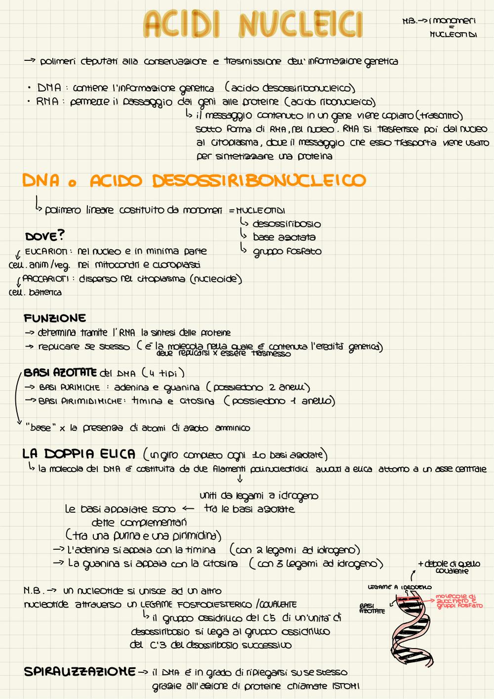 Preview documento per pagina 6