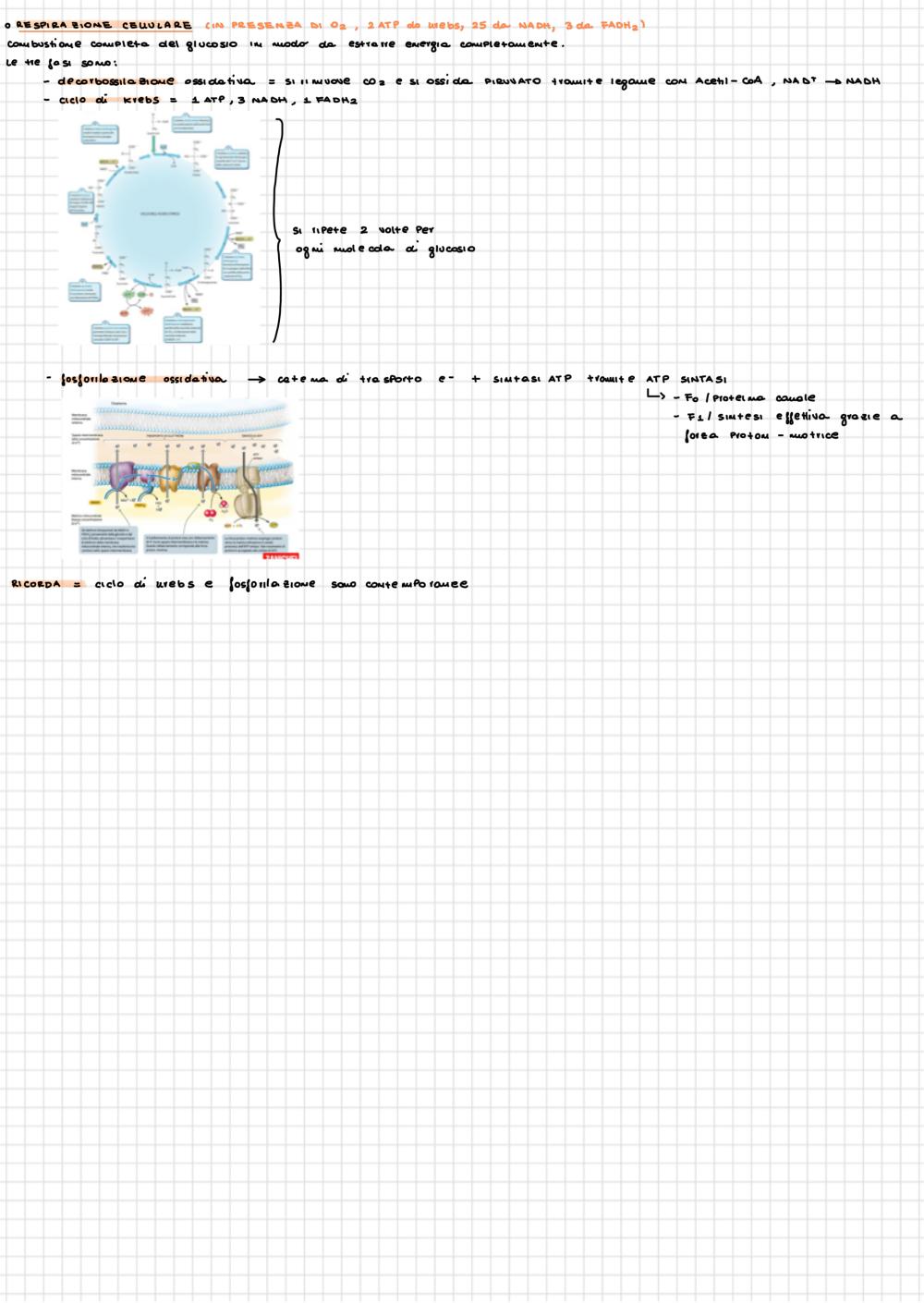 Preview documento per pagina 6