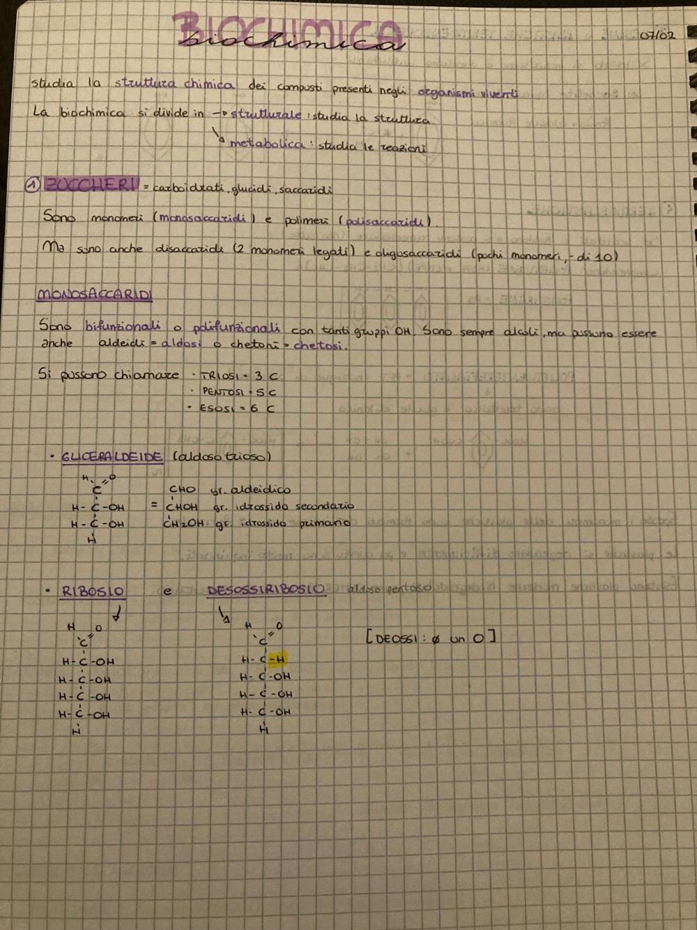 Preview documento per pagina 1