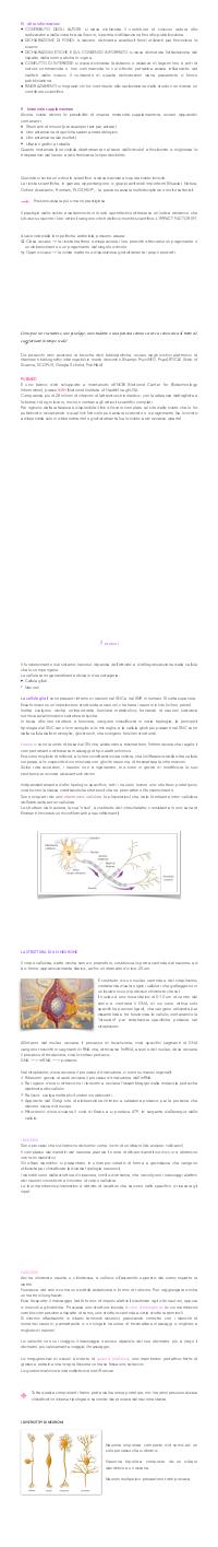 Preview documento per pagina 44