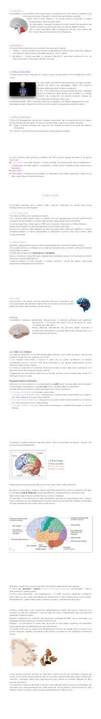 Preview documento per pagina 56