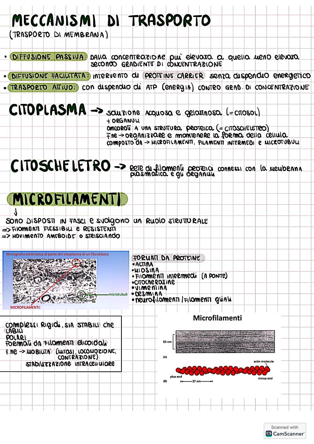 Preview documento per pagina 6