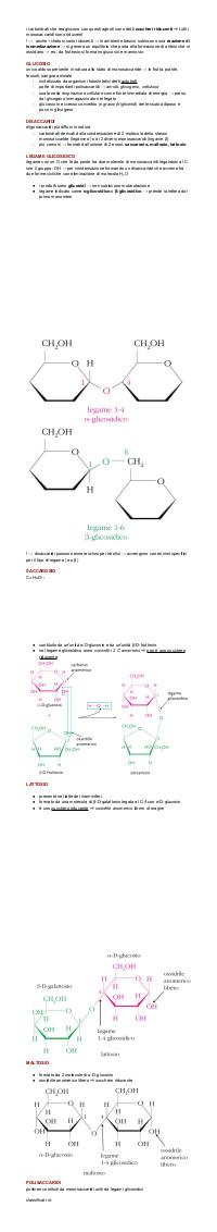 Preview documento per pagina 7
