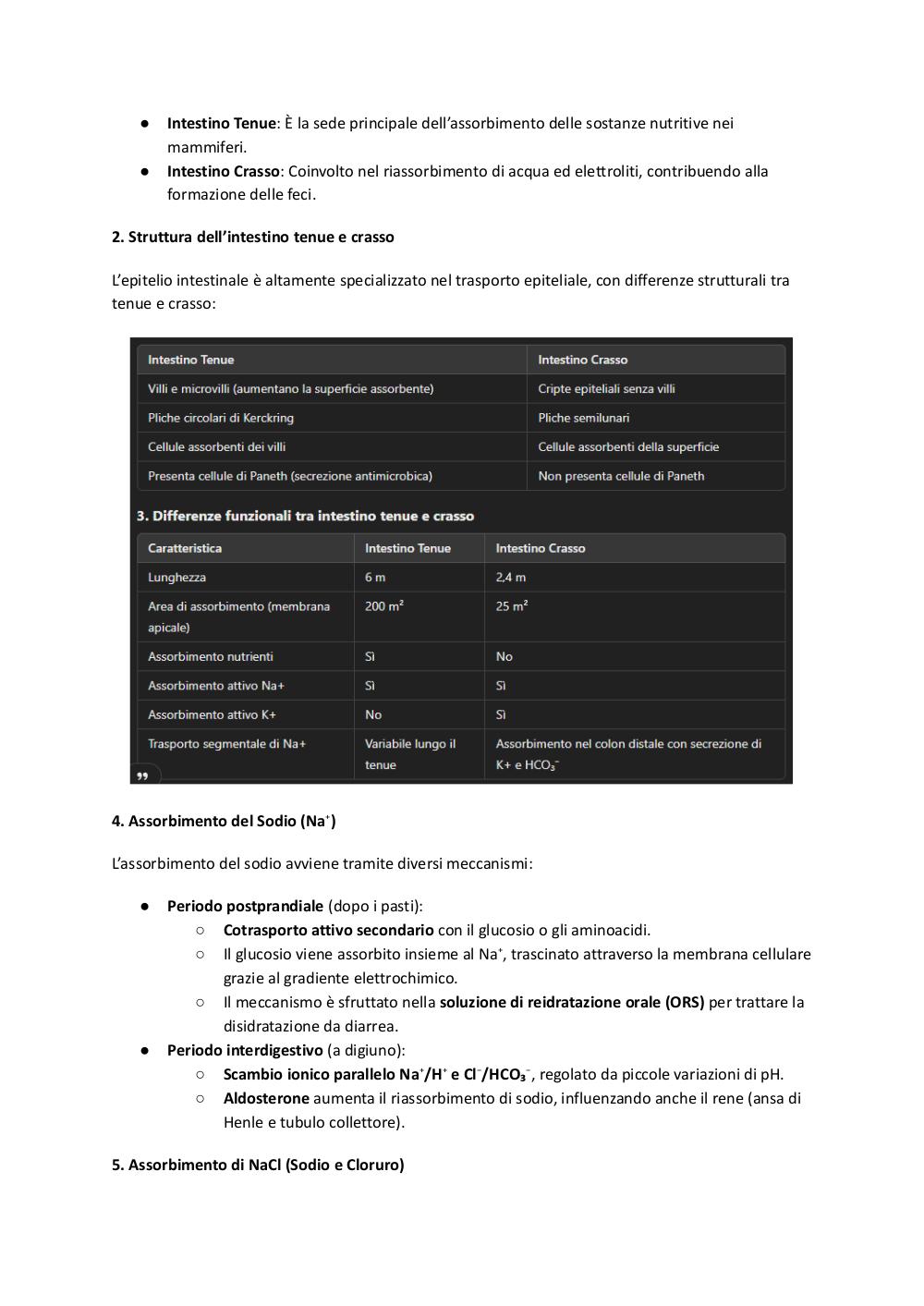 Preview documento per pagina 31