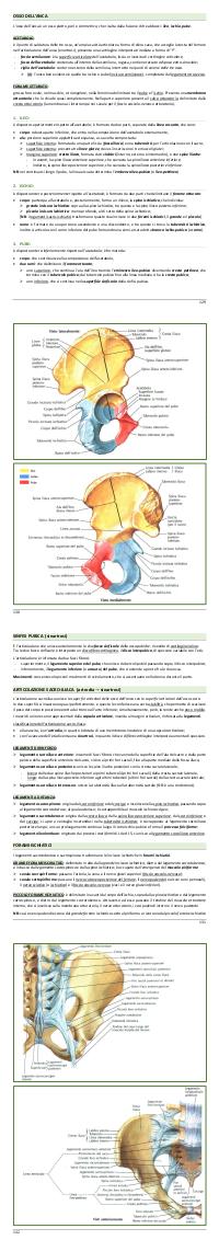 Preview documento per pagina 2