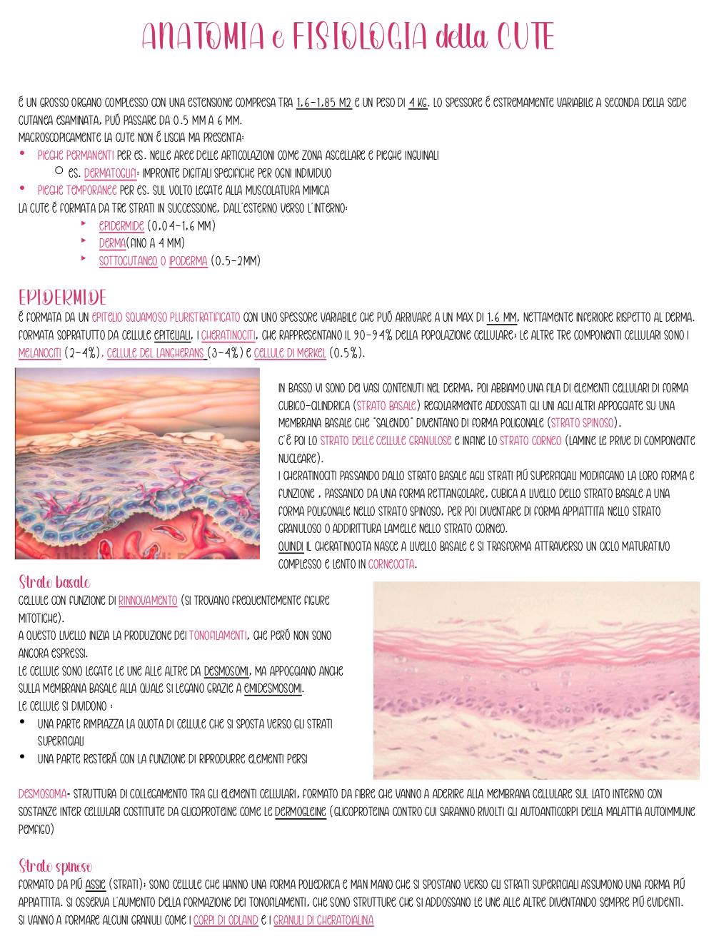 Preview documento per pagina 1