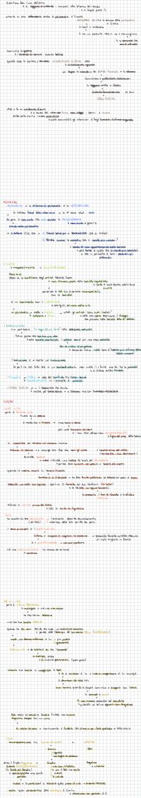 Preview documento per pagina 2