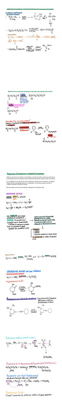 Preview documento per pagina 2