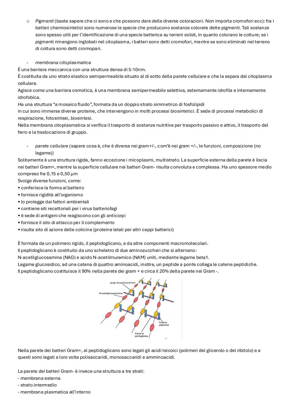 Preview documento per pagina 7