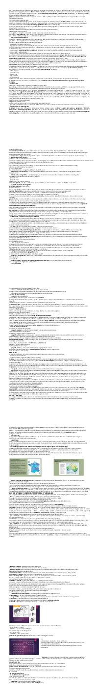 Preview documento per pagina 2