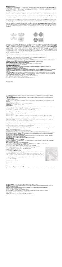 Preview documento per pagina 74