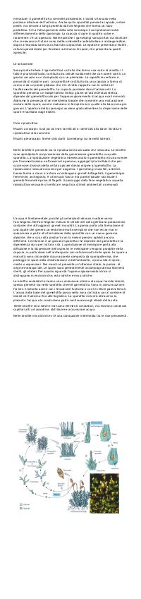 Preview documento per pagina 2