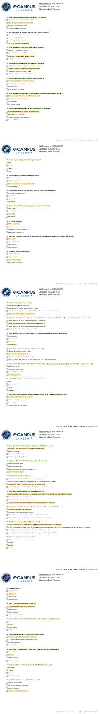 Preview documento per pagina 20