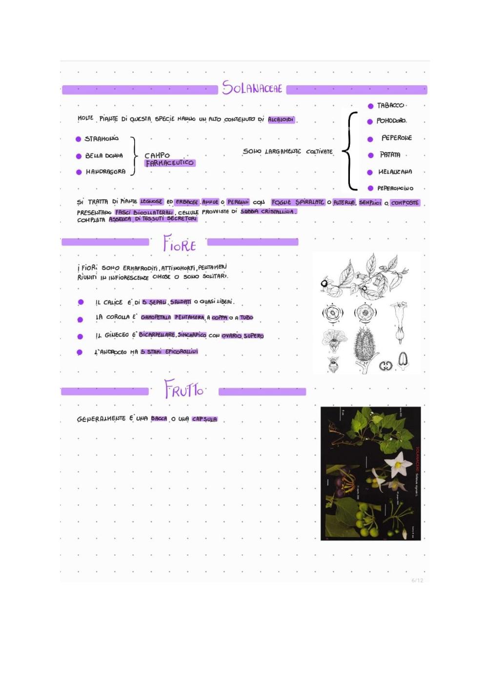 Preview documento per pagina 6