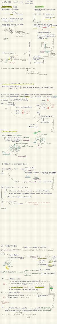 Preview documento per pagina 12