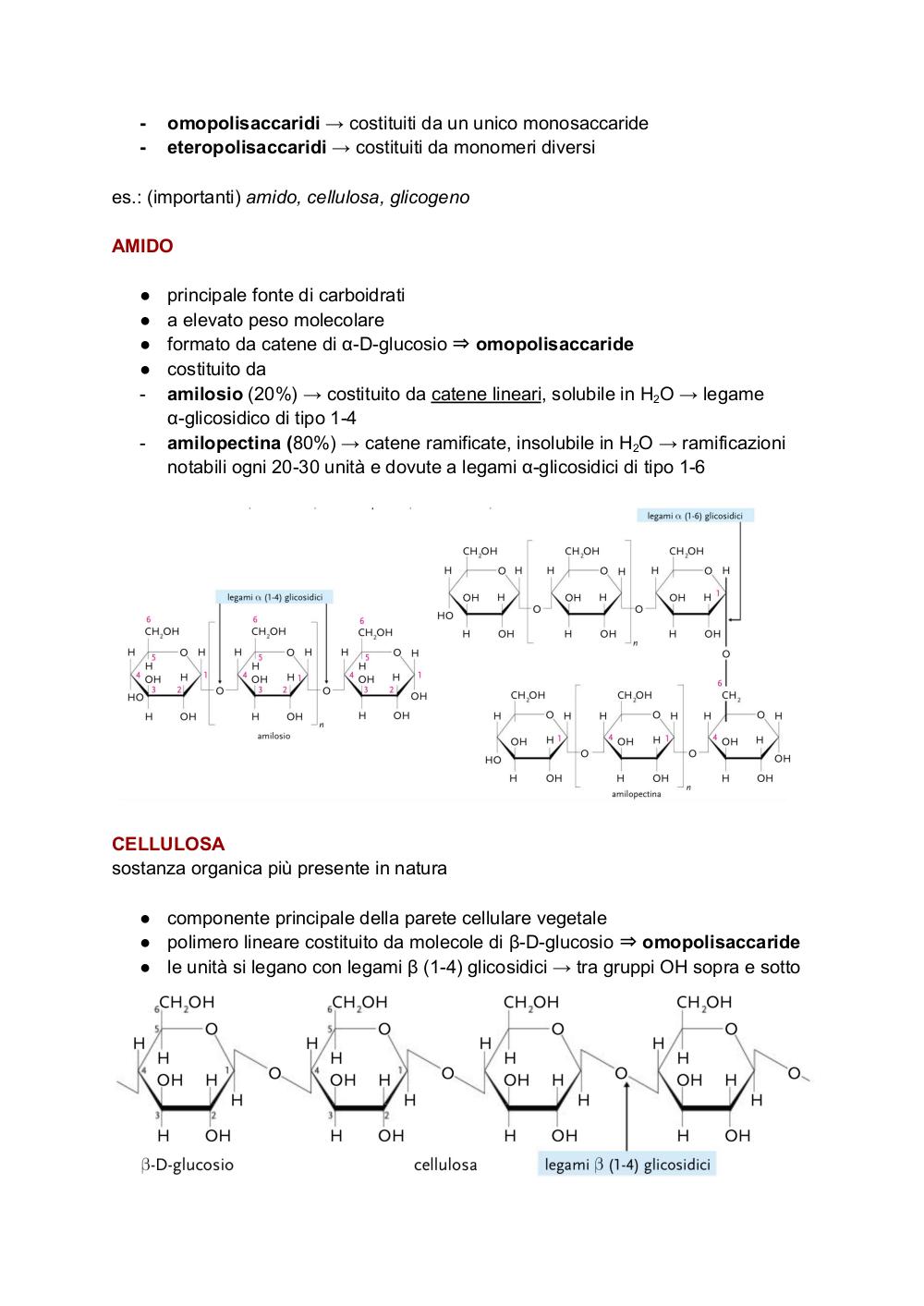 Preview documento per pagina 11