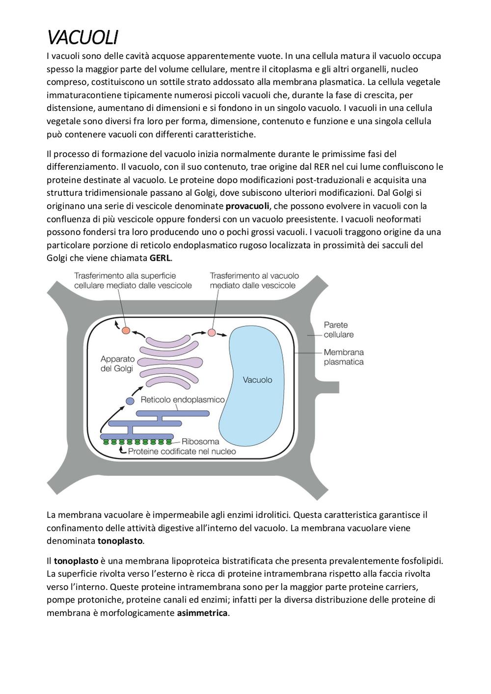 Preview documento per pagina 7