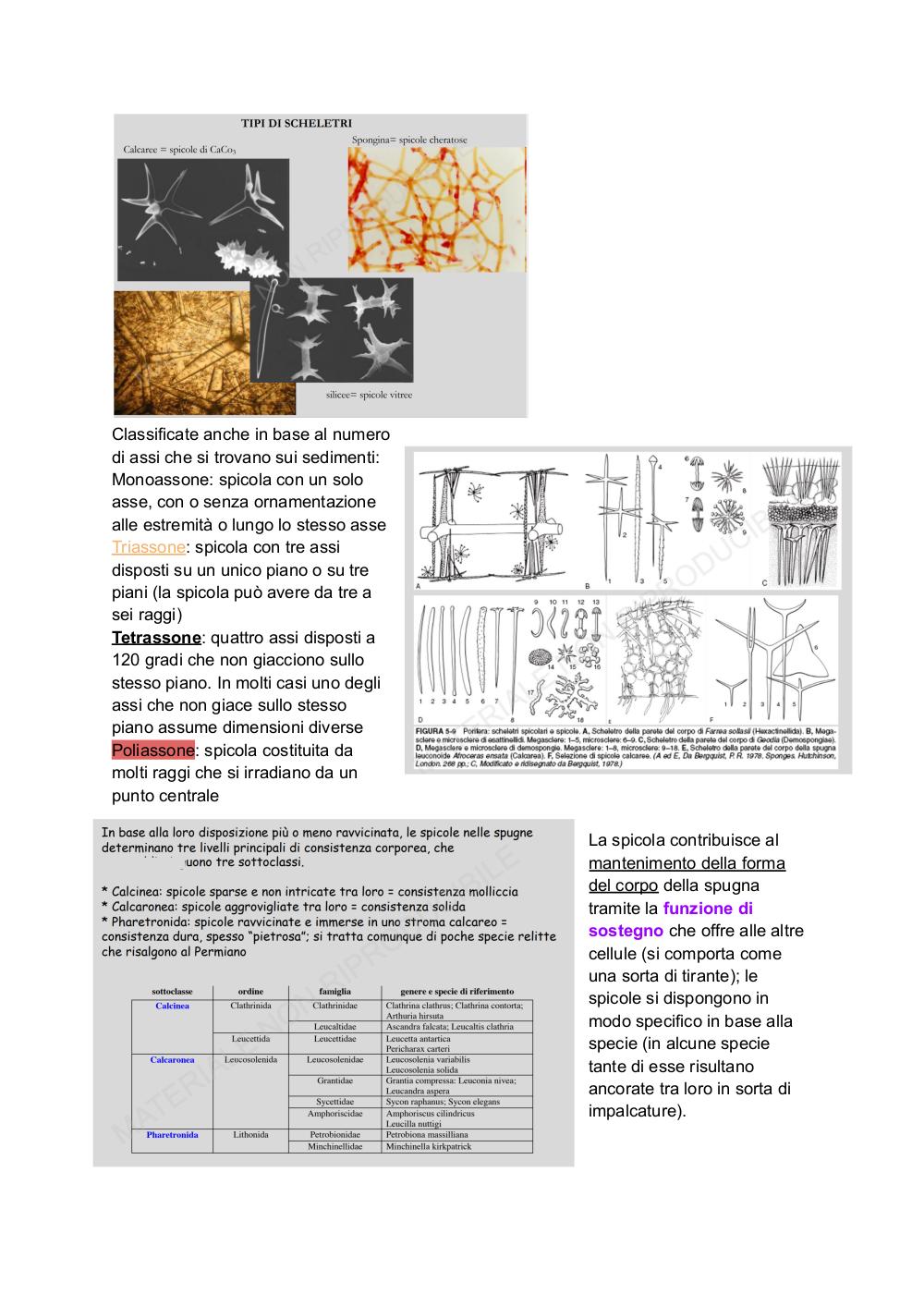Preview documento per pagina 6