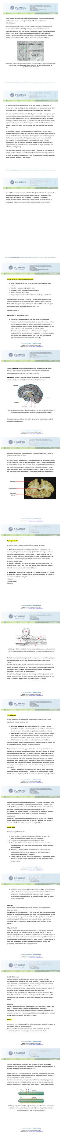 Preview documento per pagina 2