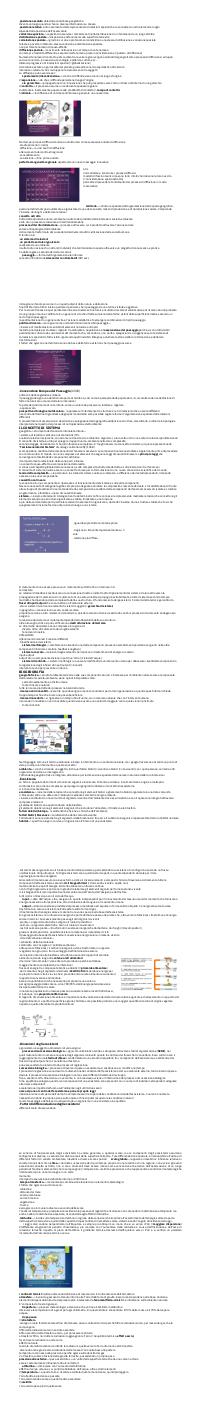 Preview documento per pagina 44