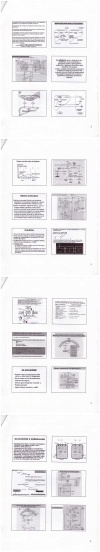 Preview documento per pagina 2