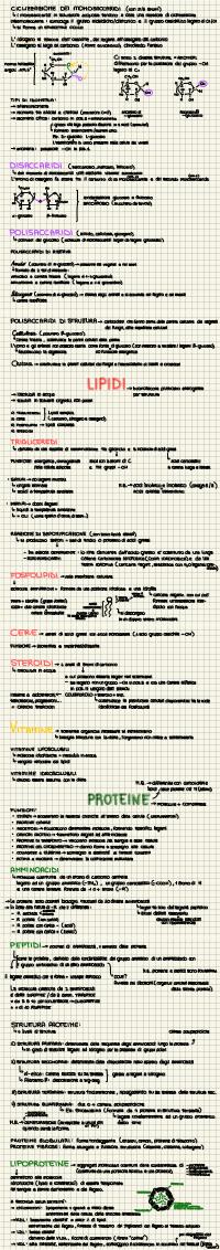 Preview documento per pagina 2
