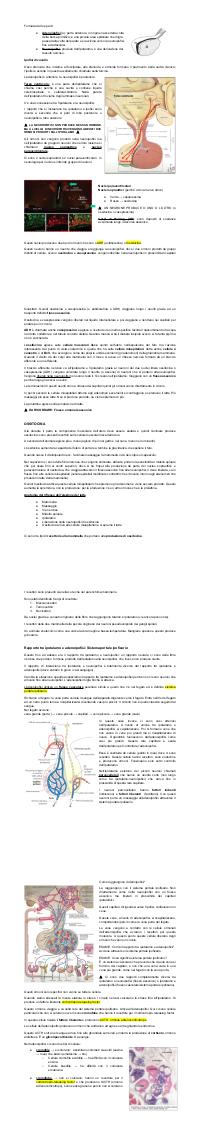 Preview documento per pagina 2