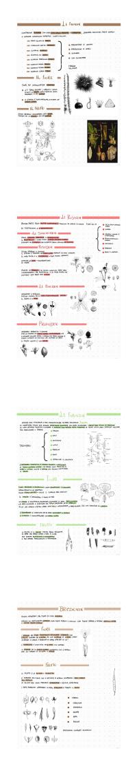 Preview documento per pagina 2
