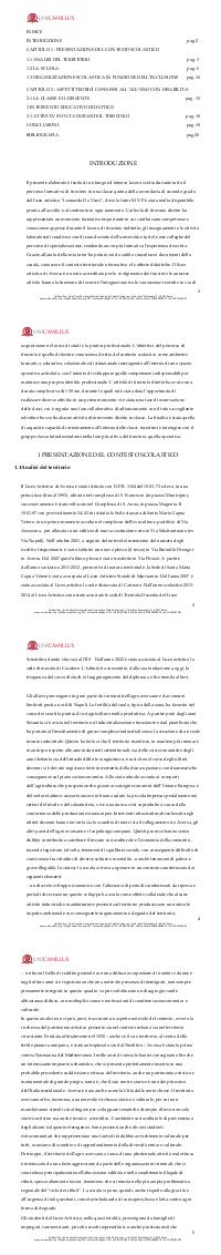 Preview documento per pagina 2