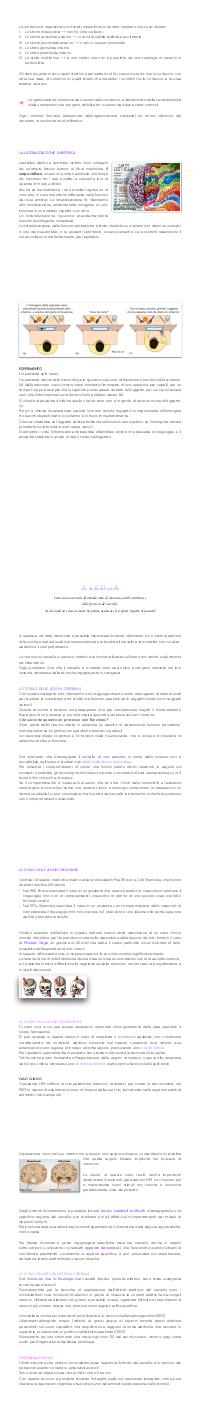 Preview documento per pagina 62