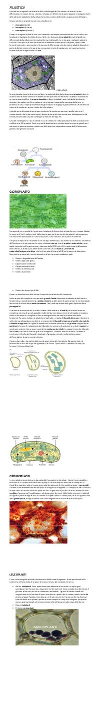 Preview documento per pagina 2