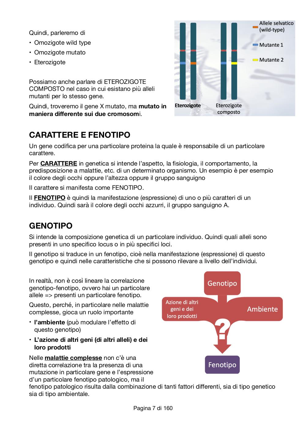 Preview documento per pagina 7