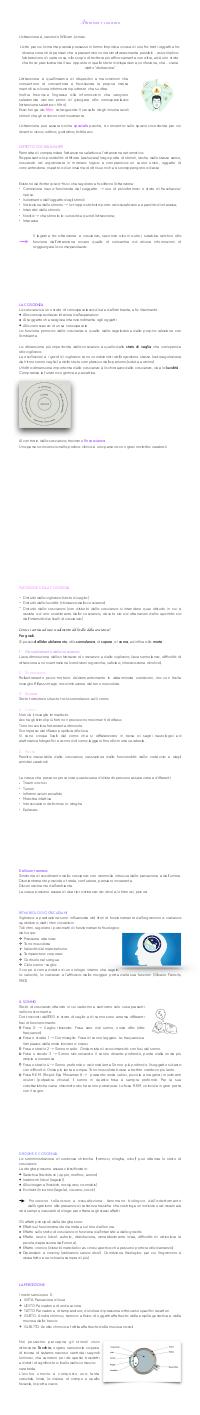 Preview documento per pagina 80