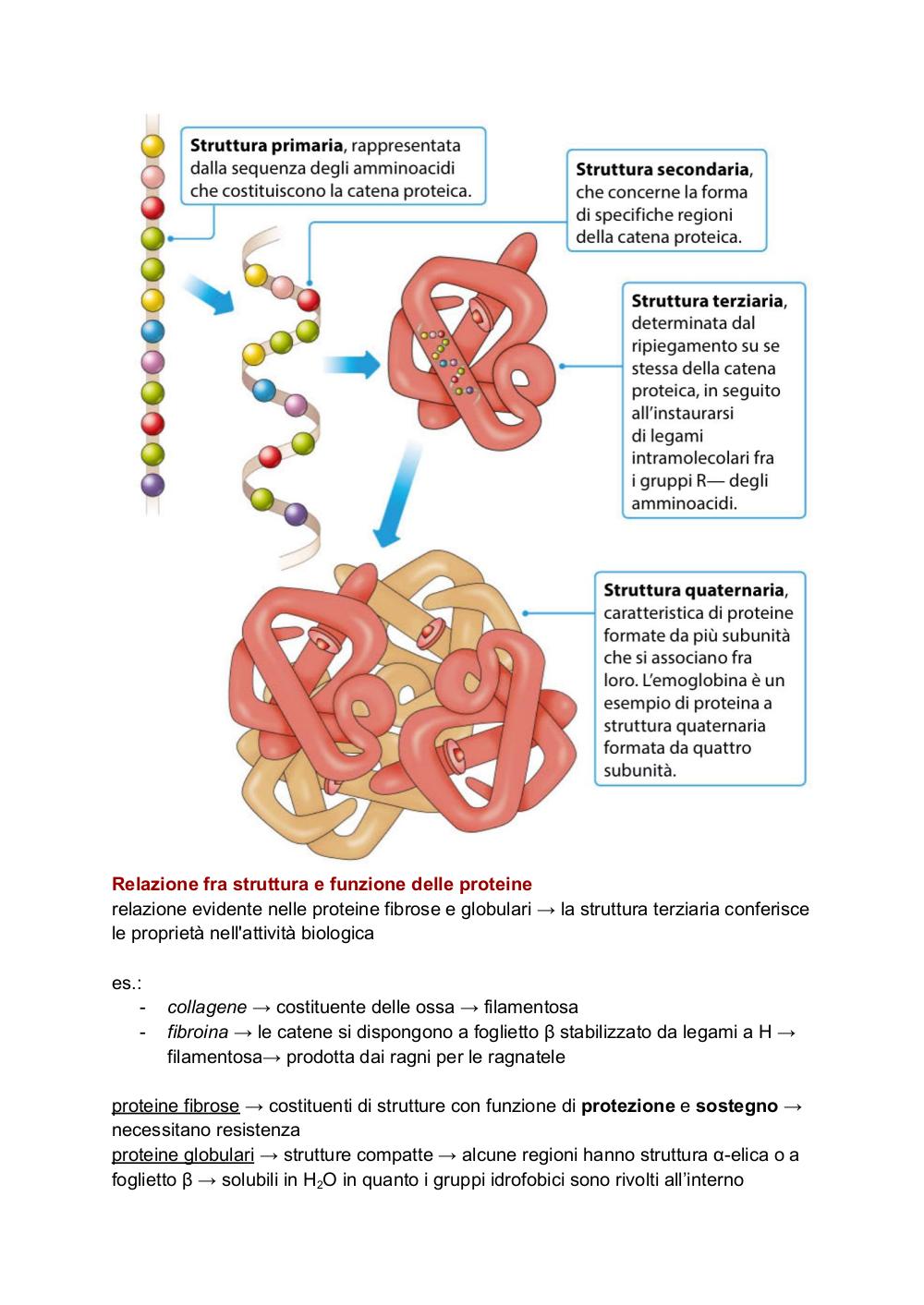 Preview documento per pagina 26