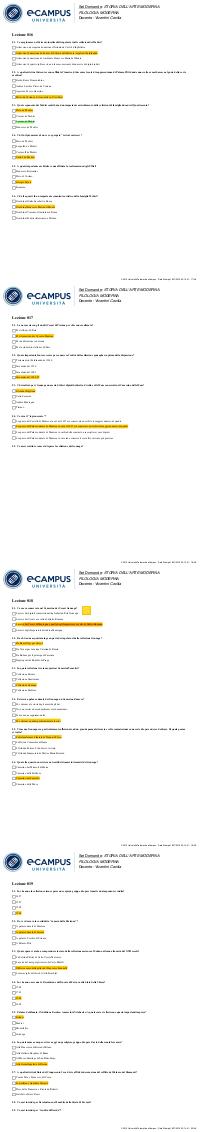 Preview documento per pagina 17