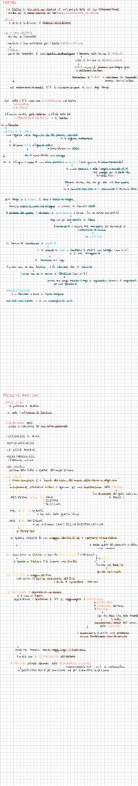 Preview documento per pagina 12
