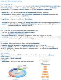il ciclo cellulare