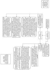 Schema sui Globuli Bianchi