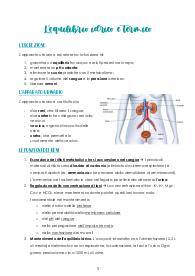 Appunti di Biologia, L'apparato escretore ed urinario