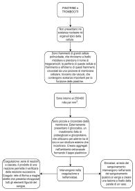 Schema sulle Piastrine