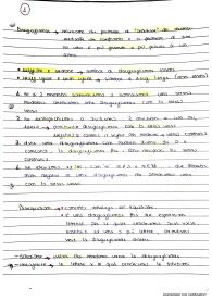 Disuguaglianze, disequazioni e sistemi di disequazione