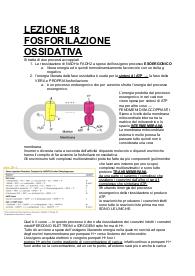 Appunti di BIOCHIMICA TERZA PARTE