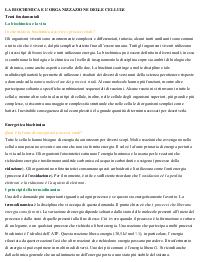 Biochimica generale e molecolare