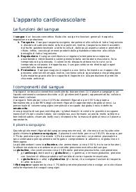 Riassunto apparato cardiovascolare (circolatorio e respiratorio)