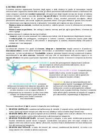Appunti di biologia sul sistema nervoso