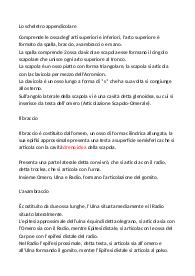 Appunti: Lo scheletro appendicolare