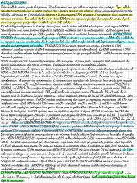 Trascrizione del DNA appunti